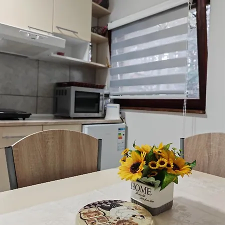 Διαμέρισμα Todorovic