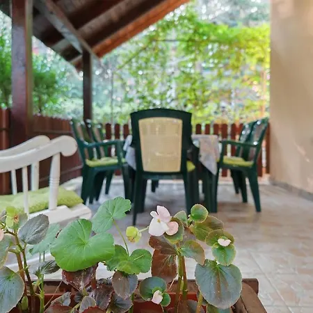 Apartment Todorovic *