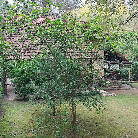 Apartment Todorovic *