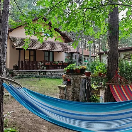 Todorovic Διαμέρισμα Vinci