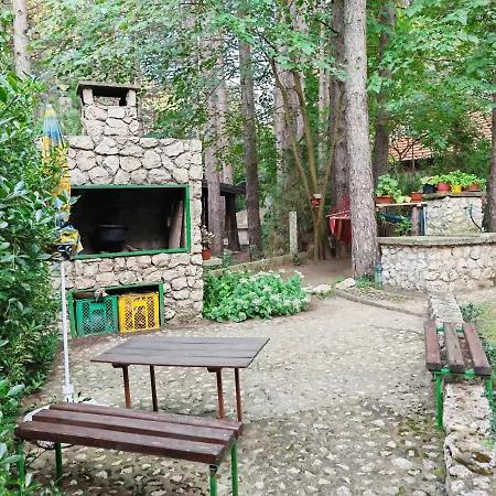 Διαμέρισμα Todorovic *