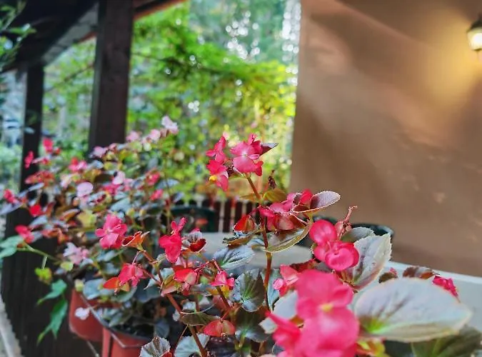 Lejlighed Todorovic *