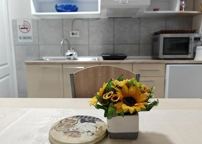 Todorovic Lejlighed Vinci